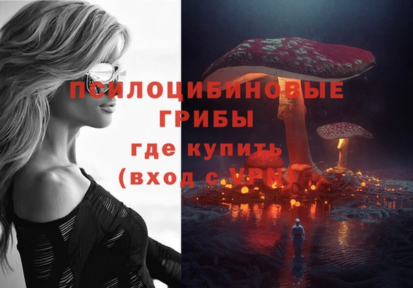 дмт Алексеевка