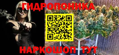 стафф Краснознаменск