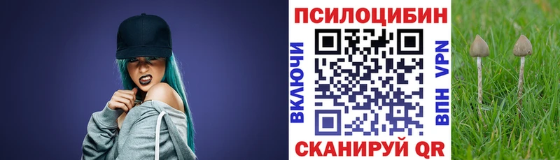 kraken ТОР  Камышлов  Галлюциногенные грибы Magic Shrooms  закладка 