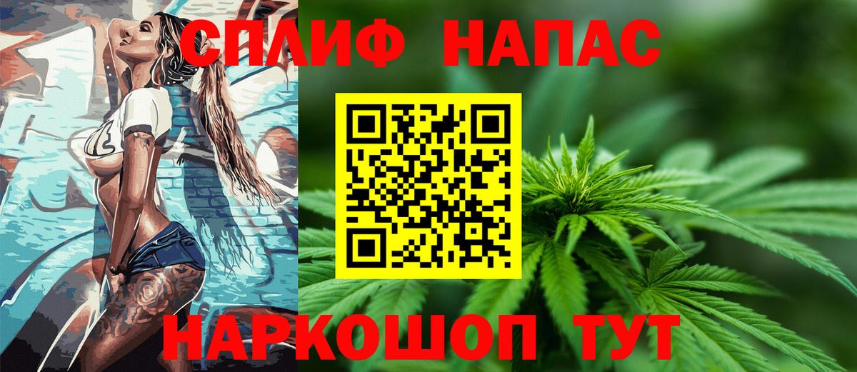Марихуана план  Вход с VPN  Марихуана сатива  Конопля семена  Камышлов 